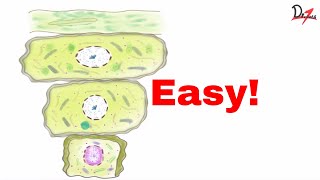 Keratinized epithelium Things to know [upl. by Achorn]