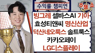 빙그레 셀바스AI 효성티앤씨 덕산네오룩스 명신산업 기아 카카오페이 LG디스플레이 솔트룩스주식 챔피언 쇼 20241125 [upl. by Westney290]