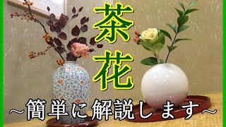 【秋～冬】簡単にできる茶花の生け方【生け花・基本】 [upl. by Halda]