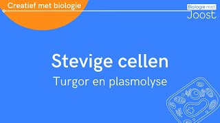 Stevige cellen turgor en plasmolyse  Creatief met Biologie [upl. by Ahasuerus25]