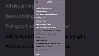 martingarrix toldyouso music lyricsvideo lyrics newmusic song newsong newmusic2024 [upl. by Kalina]