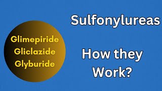 Sulfonylrueas  Pharmacology Mechanism of Action for Glimepiride Gliclazide [upl. by Neelrahc]