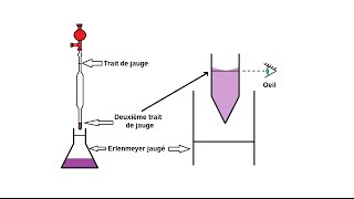 Protocole pour effectuer une dilution [upl. by Simon]