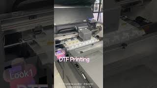 How the Hot DTF Tshirt Printer Printing Process [upl. by Wager957]