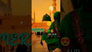 Mera Dil or meri Jan ya rasulallahnath sarrif💫🌹🤲🤲 youtubeshorts [upl. by Kinson]