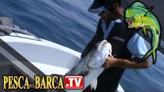 Come pescare le grandi lecce  Pesca Dalla Barca TV [upl. by Omarr]