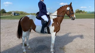 Prelim 12 dressage test 1st place 711 [upl. by Feeney391]