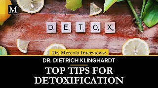 Top Tips for Detoxification – Interview With Dr Dietrich Klinghardt [upl. by Anirehtak468]