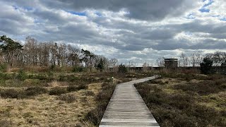 Trailrun Soestduinen [upl. by Naols]