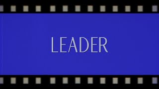 Brynn Cartelli  Leader Official Lyric Video [upl. by Neeuq]