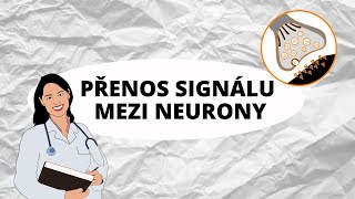 NERVOVÁ SOUSTAVA  Přenos signálu mezi neurony [upl. by Havener633]