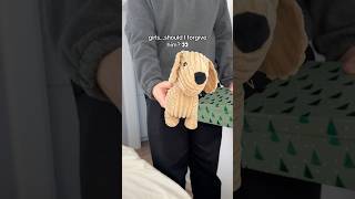 Dachshund owners should I forgive him🥹🐾 dachshund gift slippers [upl. by Errehs]