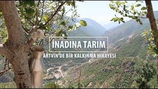 İnadına Tarım  Artvinde Bir Kalkınma Hikayesi [upl. by Ennaillij]