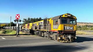 Tasrail TR14 2051 53 train Johnston Road [upl. by Emoraj]