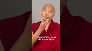 Tergar transmission with Mingyur Rinpoche begins in one month [upl. by Amilas]