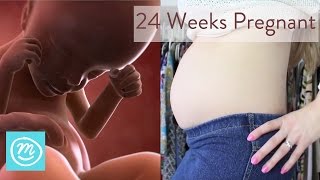 24 Weeks Pregnant What You Need To Know  Channel Mum [upl. by Elberfeld]