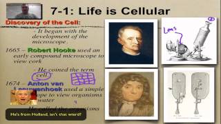 Chapter 7 Part 1  The Cell Theory [upl. by Daberath517]