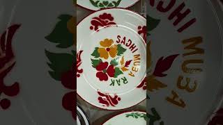 ENAMEL CROCKERY PLATE BOWL BASIN THALI kohimanagaland dimapur manipur highlights [upl. by Crockett805]