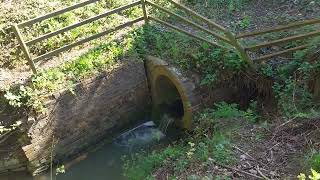 3rd culvert on the grand Union canal yelvertoft area may 5th 2024 in nead of repair [upl. by Joashus]