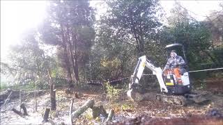 DMS MICRO DIGGER HIREStump Removal using our Bobcat E10 [upl. by Wauters42]