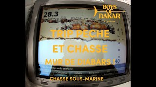 🥇CHASSE SOUS MARINE  TRIP DE PECHE ET DE CHASSE  MAJCAAM  BOYS OF DAKAR  Ep279 [upl. by Derrej]