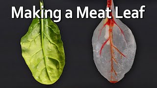 A Leaf Made of Meat [upl. by Emee420]