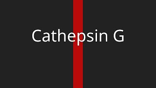 Cathepsin G [upl. by Arnaud647]