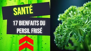 Bienfait du Persil Frisé pour Votre Santé  🌿✨ [upl. by Chouest]