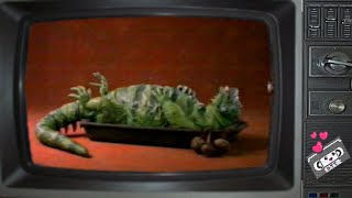 Wagon Wheel Stuffed Iguana Commercial 1991 [upl. by Annasiul]