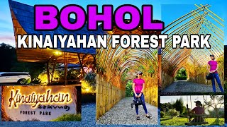 BOHOL TOURIST DESTINATION  KINAIYAHAN FOREST PARK  BOHOL TOURIST SPOT [upl. by Nihsfa]