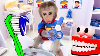 Brushing My Teeth Before Going to Bed  Baby Monkey Animals House [upl. by Coplin]