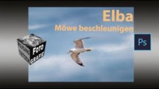 Elba  eine Möwe beschleunigen in Photoshop [upl. by Esserac512]