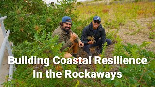 Building Coastal Resilience in the Rockaways [upl. by Cannice]