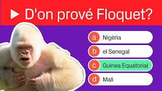 10 PREGUNTES sobre FLOQUET DE NEU  betevé quiz [upl. by Avlis]