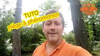 TUTO PIEGES A PHEROMONES CHENILLES PROCESSIONNAIRES pourquoi comment quand on vous répond [upl. by Edan]