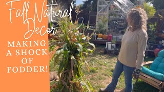 Fall natural decor🌻how to make a shock of fodder or corn stock [upl. by Lleznod]