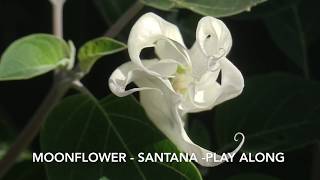 Moonflower  Santana  Backing  music sheet [upl. by Spalding196]