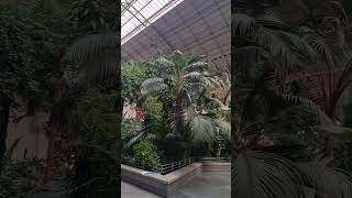 🇪🇦Madrid  Atocha railway station🇪🇦 [upl. by Adiana]