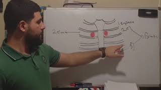 les bruits cardiaques  systeme cardiorespiratoires شرح بالعربية [upl. by Airednaxela]