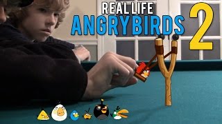 They drank whatangrybirds viralvideo shortsfeed [upl. by Accever]