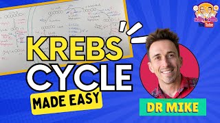 Krebs Cycle  Made Easy [upl. by Lajib]