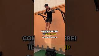 💥 Come imparerei il MUSCLE UP se dovessi PARTIRE DA ZERO allenamento palestra fitness [upl. by Gable]