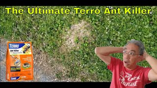 The Ultimate Terro Ant Killer  Tried And Tested [upl. by Aronid]