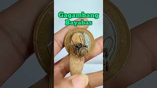 Gagambang Bayabas Gagamba Tigrehan Spider jitbuygaming Samon [upl. by Viviane]