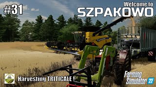 Harvesting TRITICALE   31 SZPAKOWO  Poland  FS22  PlayStation 5 [upl. by Aiam]