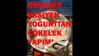 Ekşiyen Yoğurttan Organik Çökelek  Lor Nasıl Yapılır Mükemmel tad için doğru yerdesiniz [upl. by Oyam]