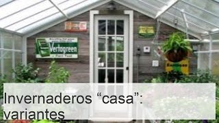 Invernaderos variantes estructuras y medidas para un hogar perfecto [upl. by Misak]