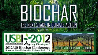 Biochar  The Next Stage In Climate Action [upl. by Larue826]