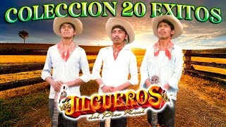 Los Jilgueros Del Pico Real  20 Corridos De Coleccion Album Completo [upl. by Nlycaj]