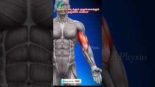 biceps pain relief exercises  bicep injury recovery exercises  sore upper arm muscles treatment [upl. by Yelnet]